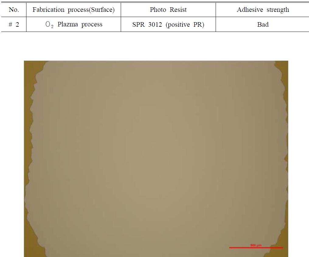 Optical image of fabricated thin film (#2)