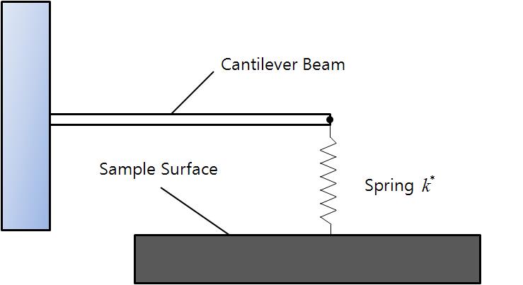 Schematic diagram of a rectangular cantilever in contact with a sample