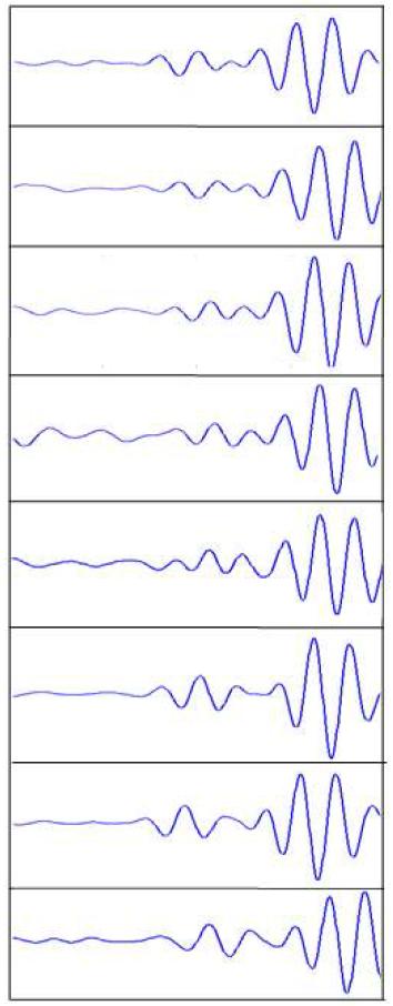 Received signals at element #1 after transmission focusing by element #1 through #8 and reflection from the SDH