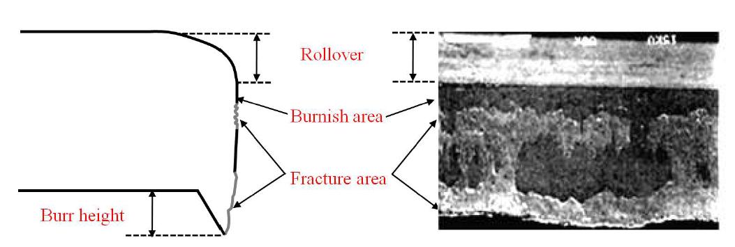 Characteristic features of a sheared edge