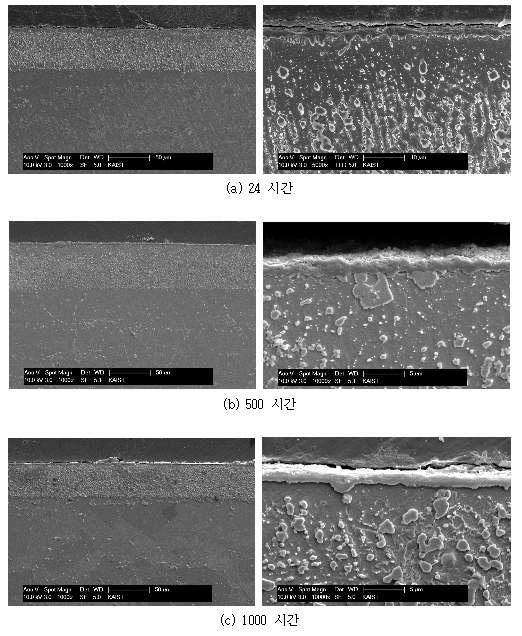 전자빔 표면개질 시편의 시간에 따른 단면 사진