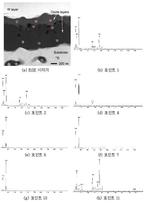 산화막에 대한 TEM/EDS 결과