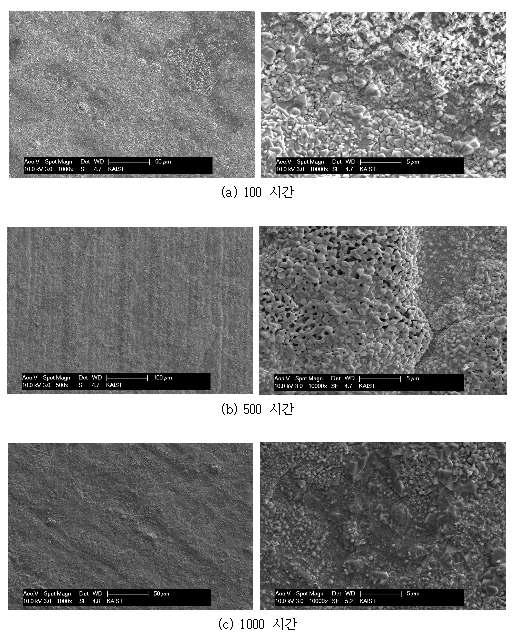전자빔 표면개질 시편의 시간에 따른 산화막 morphology