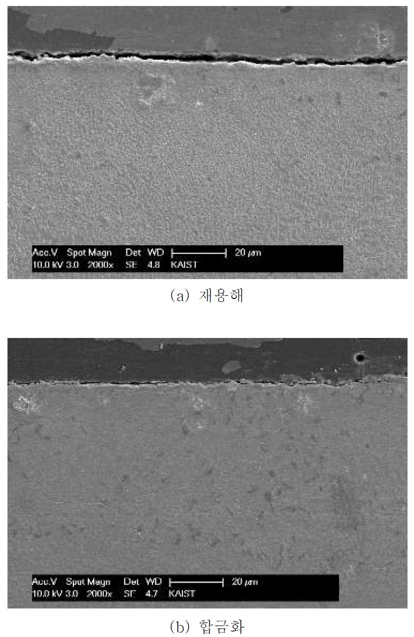 레이저빔 재용해 및 합금화 표면처리 시편 900℃ 대기환경 100시간 산화 실험 SEM 이미지