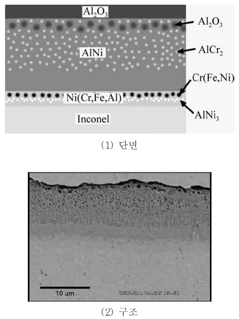 Al 증착 후 열처리에 의한 니켈기초합금의 확산층, 산화막 단면 및 구조