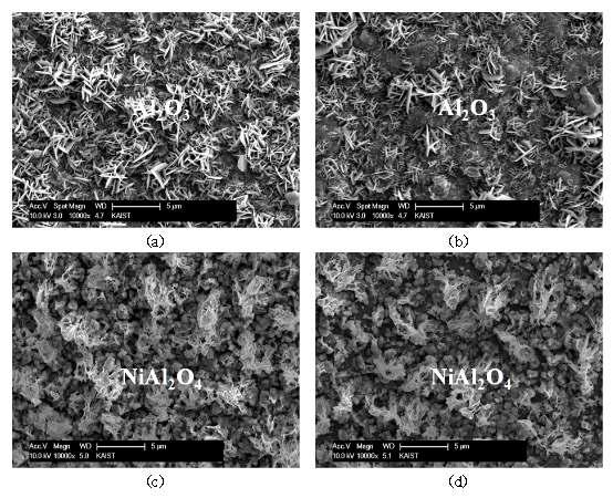 900℃ 대기환경에서 1000시간 산화된 표면개질 시편의 산화막 morphologies (a) 600℃, 24h (b) 600℃, 48h (c) 800℃, 24h (d) 800℃, 48h