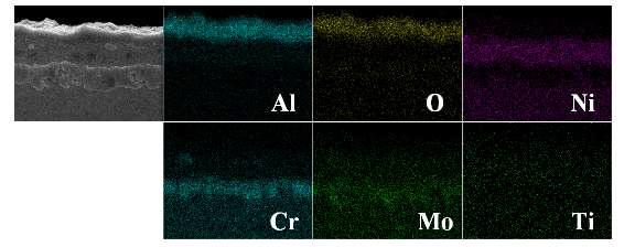 600℃, 24시간 열처리 시편의 900℃ 대기환경에서 1000시간 산화 후 elements mapping 결과