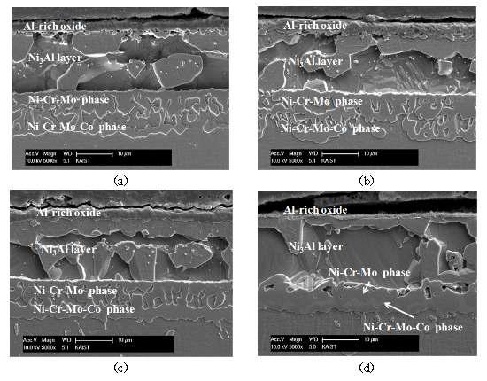 900℃ 대기환경에서 1000시간 산화된 표면개질 시편의 단면 SEM image (a) 600℃, (b) 800℃, (c) 1000℃, (d) 1150℃