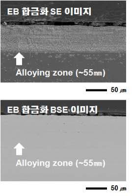 전자빔 합금화 영역 및 기저의 SE 및 BSE 이미지