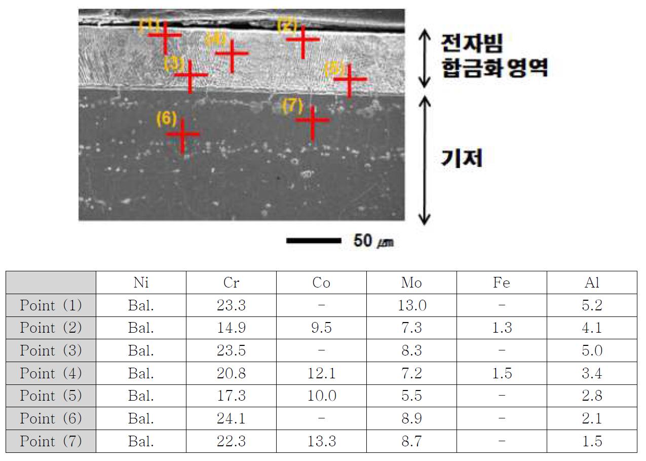 SEM/EDS 분석을 통한 Al 다량 함유층 확인