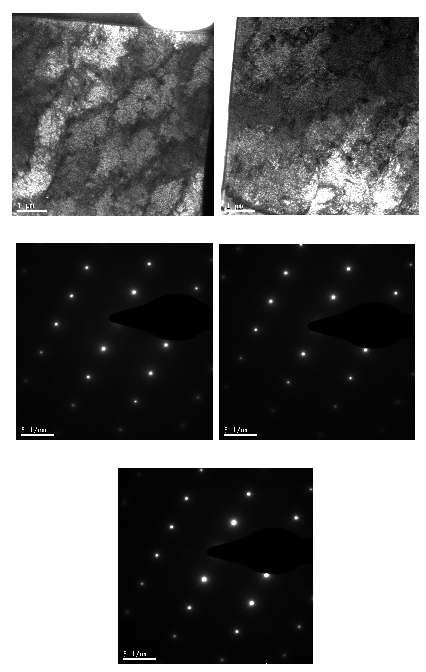 표면 합금화 영역의 TEM 이미지 및 SAD(Selected Area Diffraction) 패턴