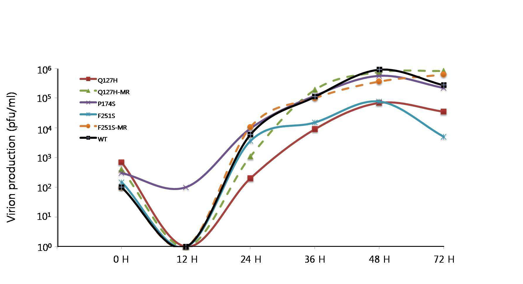 MHV-68 ORF37 단백돌연변이 바이러스의 multiple step growth curve 분석