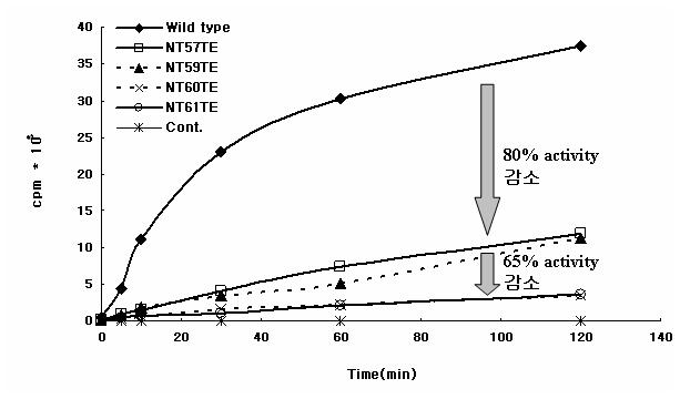 Activity test of 60RRE62 motif truncated ErmSF.