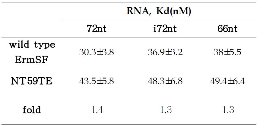 Kd analysis of wild type and NT59TE to 72, i72 and 66nt RNAs