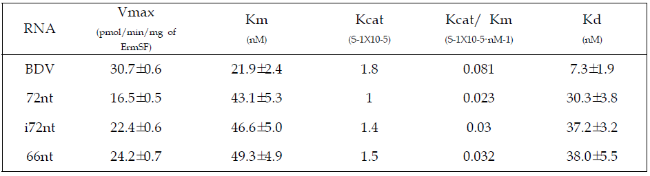 DV와 stem 73, 74로 구성된 72nt 그리고 NTED binding site를 mutation한 i72nt, 66nt에 대한 Kd 및 kinetic parameter 분석