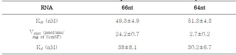 66nt, 64nt RNA Kinetic parameter & Kd analysis