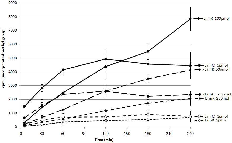 In vitro methylation of 72nt RNA substrate