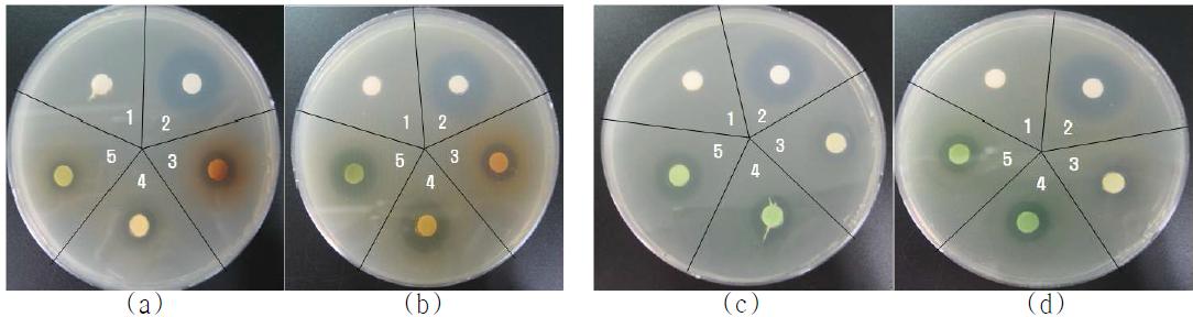 Antibacterial rates of (a)(b) brown algae and (c)(d) green algae colorants by different extraction processes