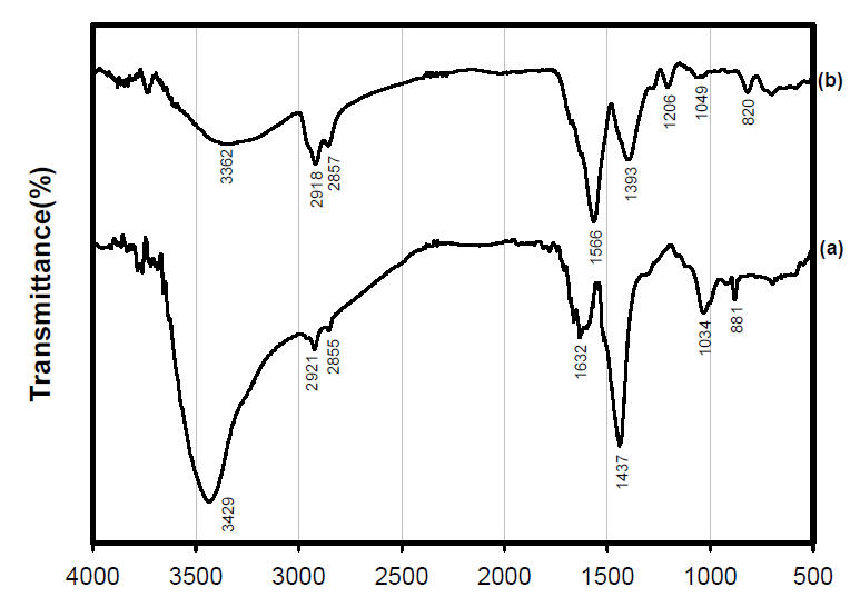 FT-IR spectra of (a) bamboo green dye and (b) sodium copper cholrophyllin