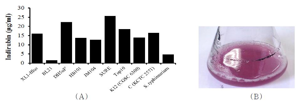 Indirubin production with various strains of E.coli (A) and sample (B)