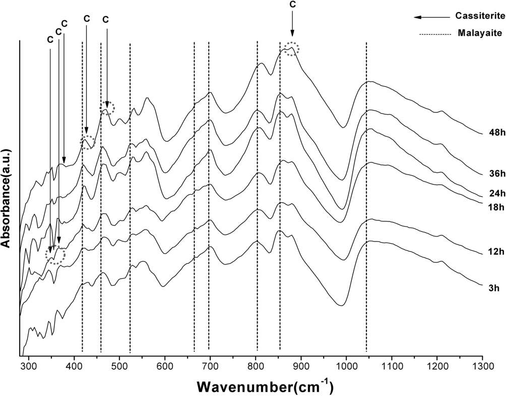 FT-IR spectra of samples fired in the first step at 800℃ for 3∼48h and second step at 1200℃/2h.