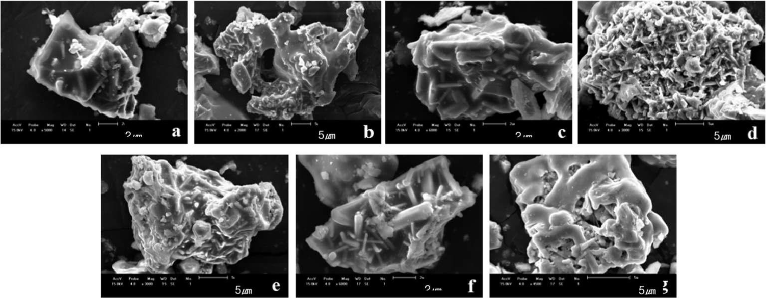 SEM A nalysis of Samples fired in the first step at 800℃/3~72 h and second step at 1200℃/2h.