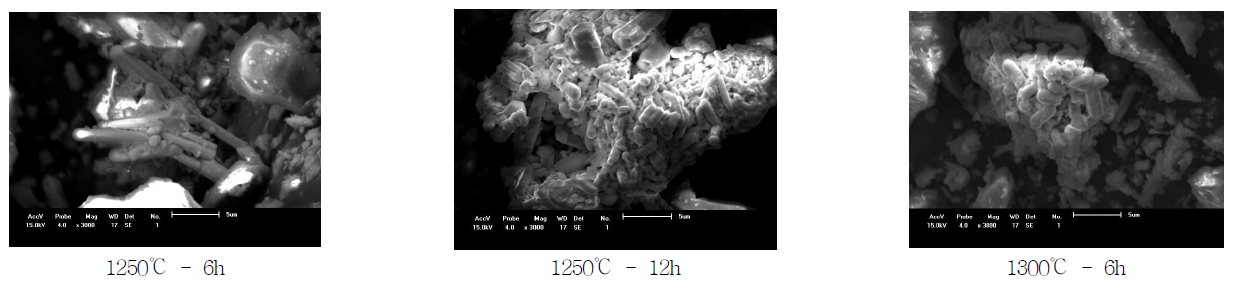 SEM images of the Samples M -5 fired at 1250℃/6h, 12h and 1300℃/6h.