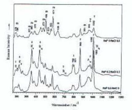 Raman spectras of V2O5 0.1 mol%, Pr6O116% doped zircon green pigments according to different contents of mineralizers at 800℃.