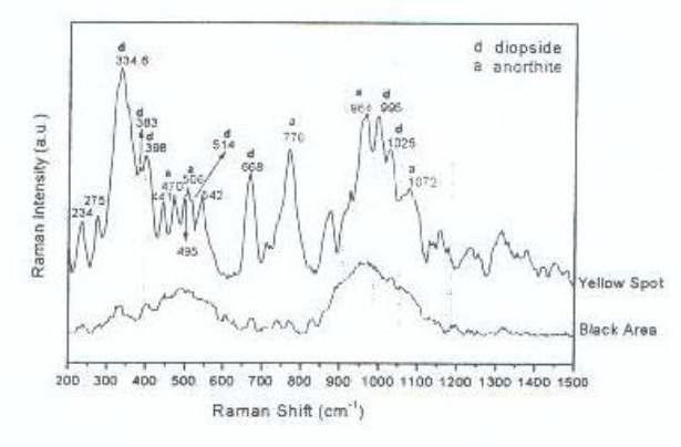 Raman spectra of yellow spot and black glaze area in nogime tenmoku glaze fired at 1260℃ for 30min-1240℃ for 1h.