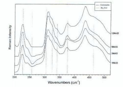 Raman Spectra of samples Ni-03 fired at 1300℃for 1h, 3h, 6h, 12h.