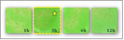 Coloring results of underglazed stain samples fired at 1300℃ for 1∼12h.