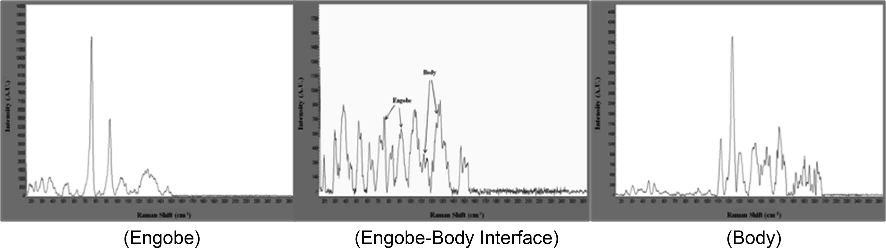 Image cut of Raman microscope analysis of boundary section position of a Chulwha piece.