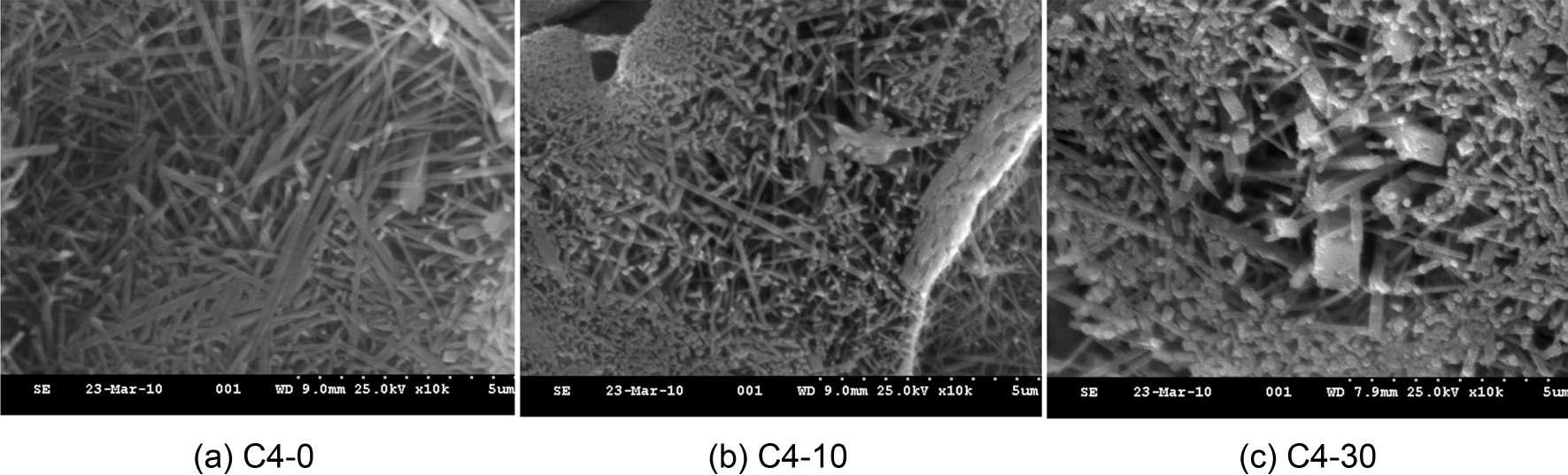 SEM images by adding hwangto(1260〫 oC/1h, Oxidation).