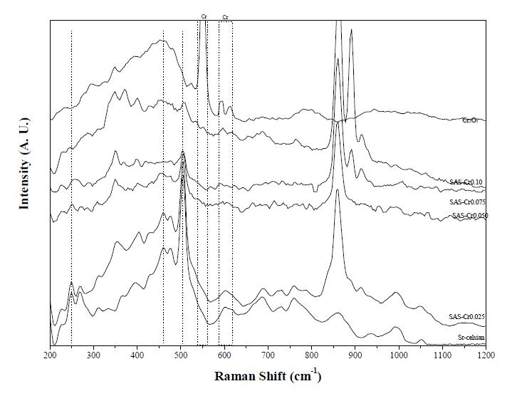 Raman spectroscopy analysis of samples SA S-Cr fired at 1200℃/1h.