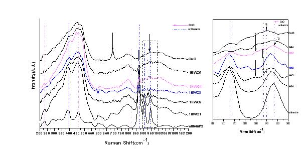 Raman spectroscopy analysis of samples fired at 1350℃/3h.