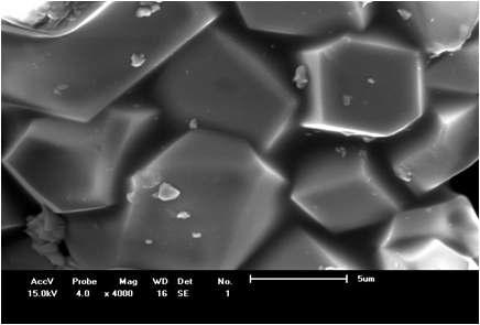 SEM analysis of 1HW C3 sample fired at 1350℃/3h.