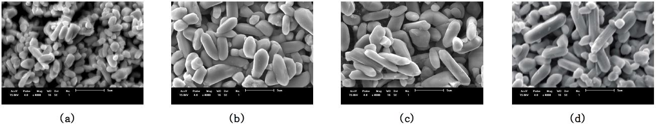 SEM micrographs of samples fired at 1000°C/1h. (a) R 6 (no mineralizer) (b) R 2 (c) R 4 (d) R6.