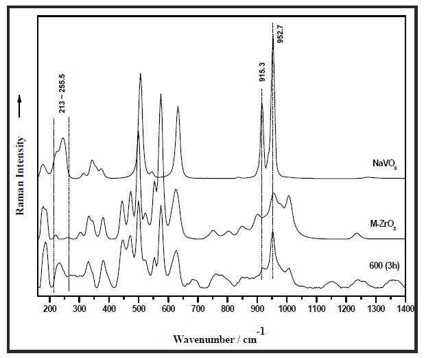 Raman spectra of vanadium 0.2 mol% doped zircon blue pigments using rice husk ash at 600℃.