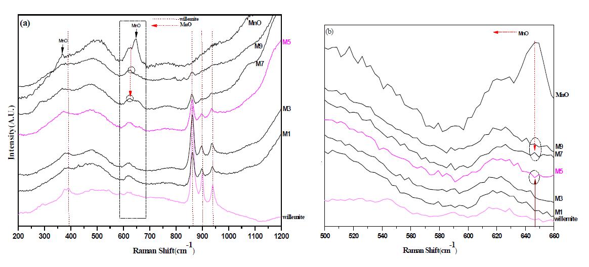 Raman spectroscopy analysis of samples fired at 1300℃/3h.