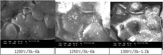 SEM analysis of (M 5) samples synthesized at 1200, 1250 and 1300℃/3h.