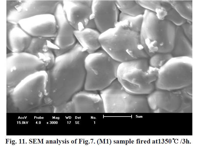 SEM analysis of M1 samples fired at 1350℃/3h