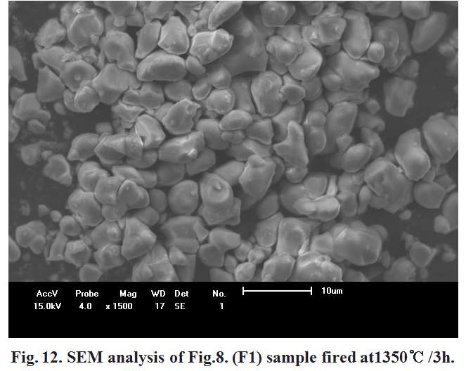 SEM analysis of F1 samples fired at 1350℃/3h