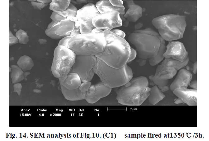 SEM analysis of C1 samples fired at 1350℃/3h