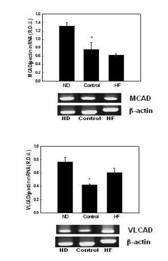 Effects of HF on mRNA expression of genes involved in mitochondrial fatty acid β-oxidation in differentiated 3T3-L1 cells.