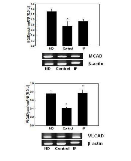 Effects of IF on mRNA expression of genes involved in mitochondrial fatty acid β-oxidation in differentiated 3T3-L1 cells.