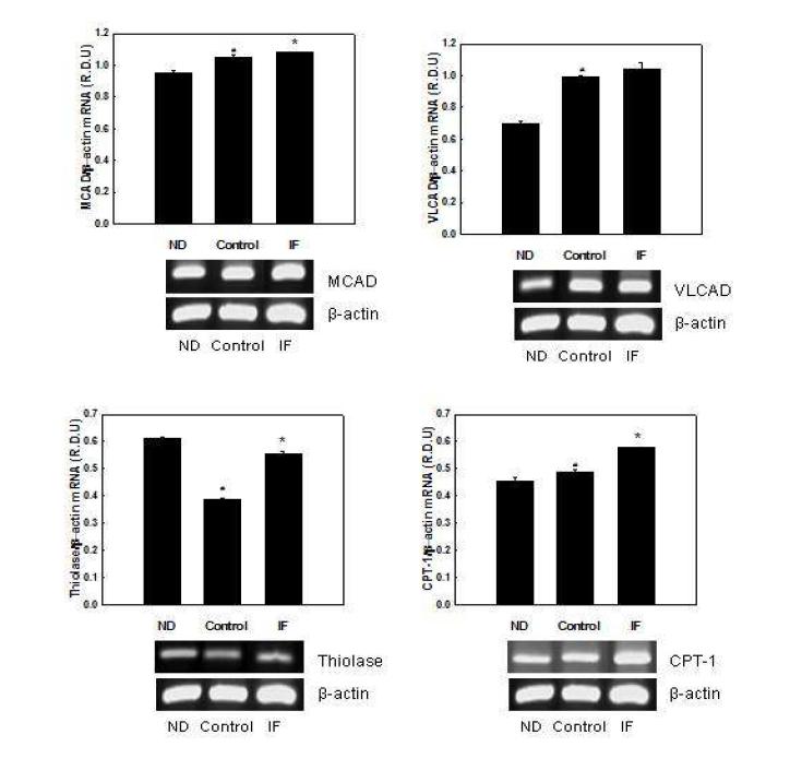 Effects of IF on mRNA expression of genes involved in fatty acid oxidation in C2C12 myotubes.