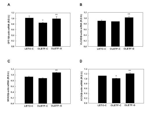 Modulation of liver PPARα target gene expression by GGEx in genetically obese OLETF rats.