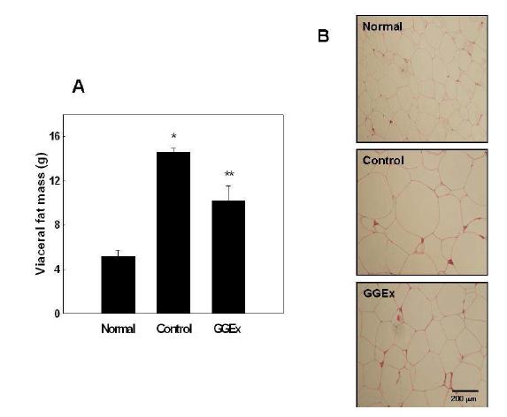 Visceral white adipse tissue weight and histology of mesenteric white adipocytes.