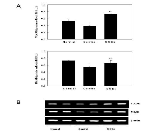 The mRNA expression levels of PPARα target genes in visceral white adipose tissue.