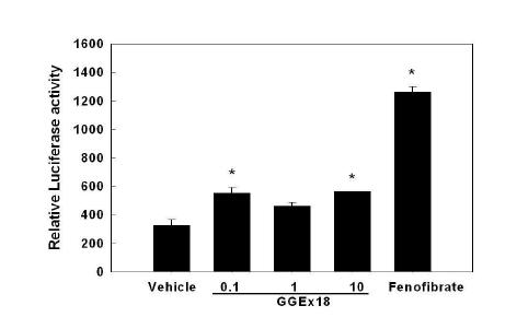 Regulation of PPARα reporter gene expression in C2C12 cells.